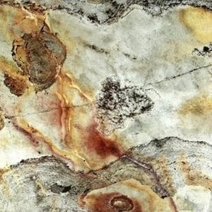 Indian Autumn (Translucent)